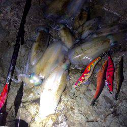 短時間エギング