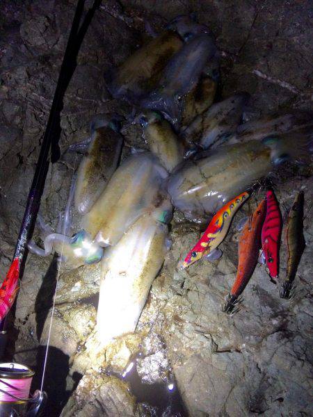 短時間エギング