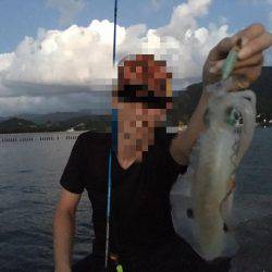 日本海秋アオリ調査