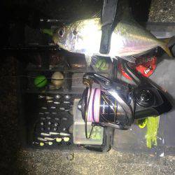 うそでしょー？たまたまよねー？