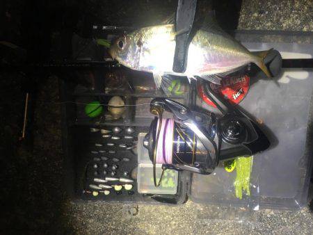 うそでしょー？たまたまよねー？