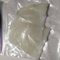 良く釣れましたꉂꉂ ( ˆᴗˆ  )