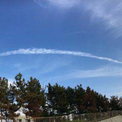 久しぶりの貝塚人工島!