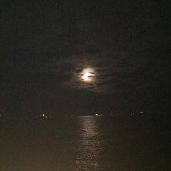 橋の袂でエギング☆