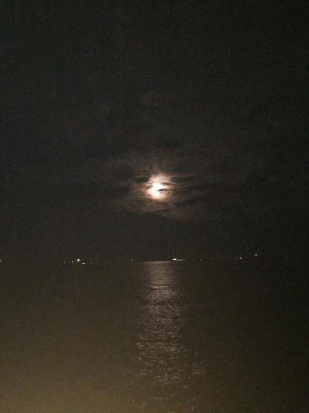 橋の袂でエギング☆