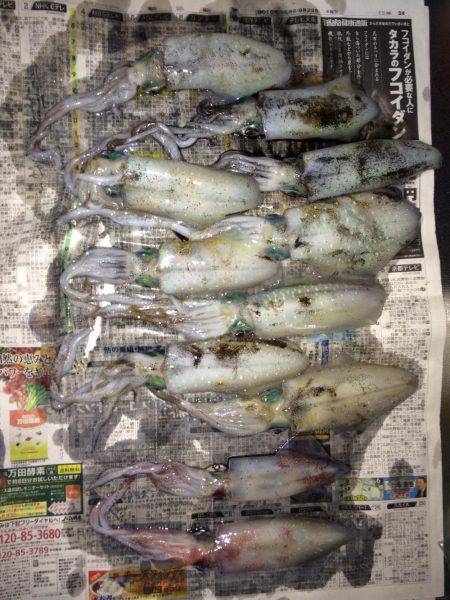 ケンサキ40センチ級を求めて