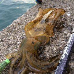 ウネリが・・・