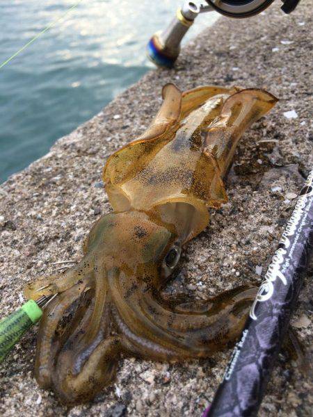 ウネリが・・・