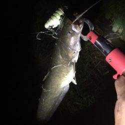 雨+増水+濁り＝絶対