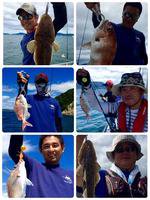 YELLOW-TAIL　イエローテール 釣果