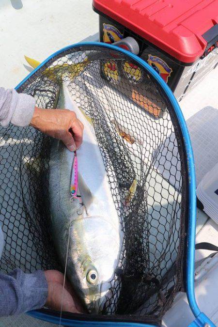 スカイマリン 釣果