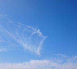 IDATEN(イダテン) 釣果