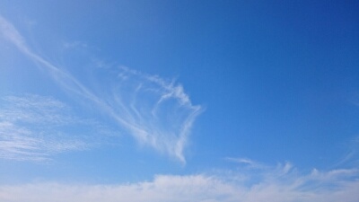 IDATEN(イダテン) 釣果