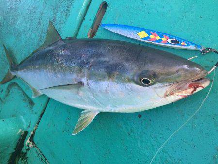 広進丸 釣果