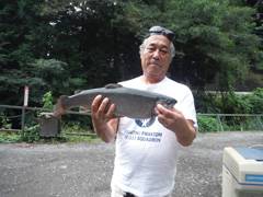 すそのフィッシングパーク 釣果