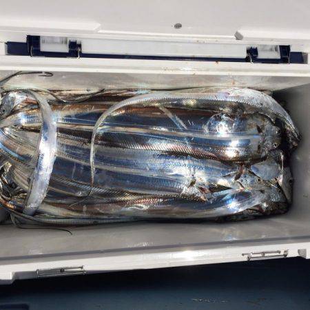 釣り船武蔵 釣果