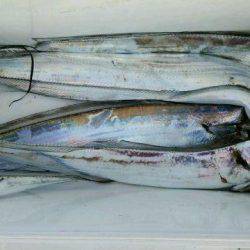 釣り船くわだ 釣果