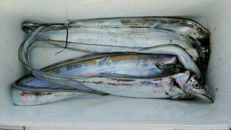 釣り船くわだ 釣果