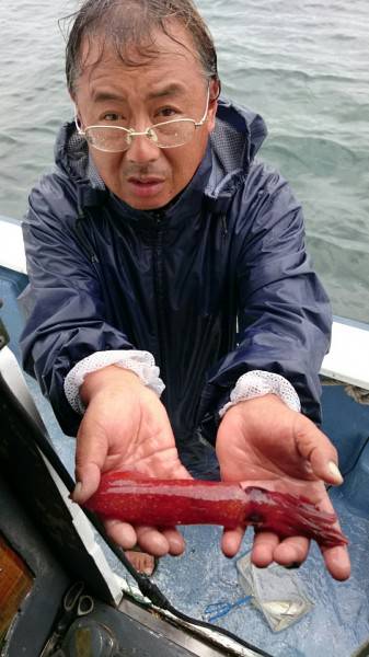 釣り船武蔵 釣果