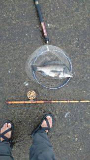 宮川丸 釣果