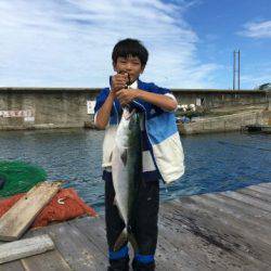 由良海上釣り堀 海人 釣果