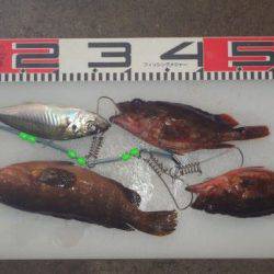 のとじま臨海公園海づりセンター 釣果