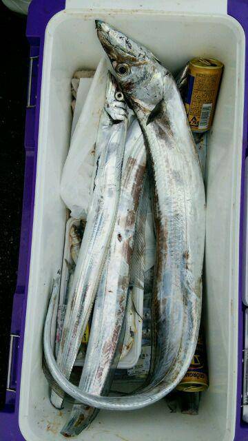 釣り船くわだ 釣果