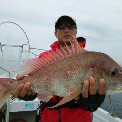 遊漁船 ニライカナイ 釣果
