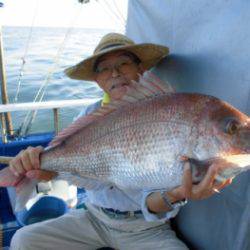 鯛紅丸 釣果