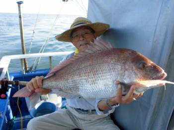 鯛紅丸 釣果