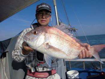 鯛紅丸 釣果