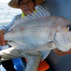 鯛紅丸 釣果