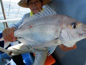 鯛紅丸 釣果