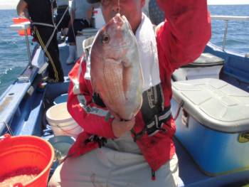 鯛紅丸 釣果