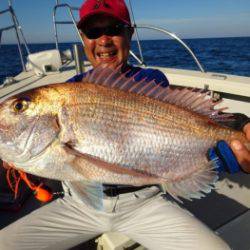 鯛紅丸 釣果