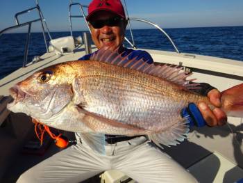 鯛紅丸 釣果