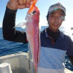 鯛紅丸 釣果