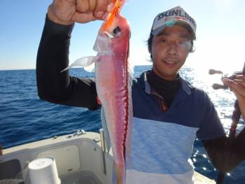 鯛紅丸 釣果