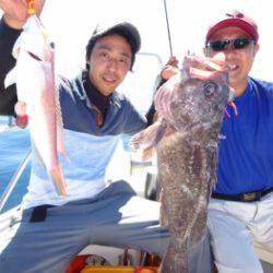 鯛紅丸 釣果