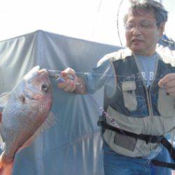 鯛紅丸 釣果
