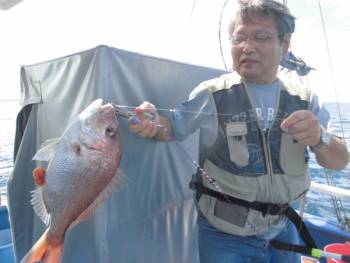 鯛紅丸 釣果