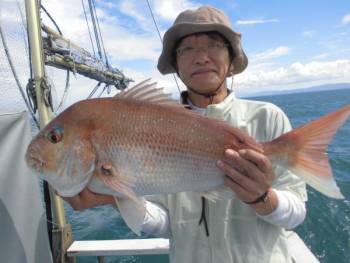 鯛紅丸 釣果
