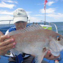 鯛紅丸 釣果