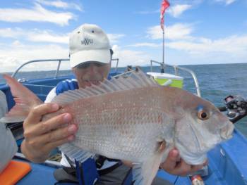 鯛紅丸 釣果