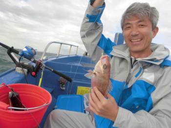 鯛紅丸 釣果