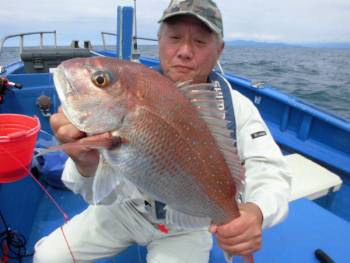 鯛紅丸 釣果