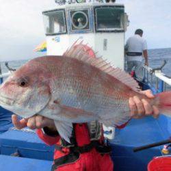 鯛紅丸 釣果