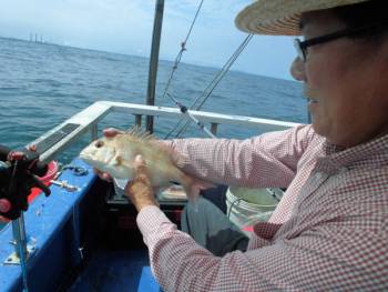 鯛紅丸 釣果