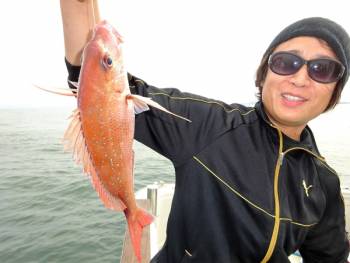 鯛紅丸 釣果
