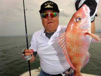 鯛紅丸 釣果